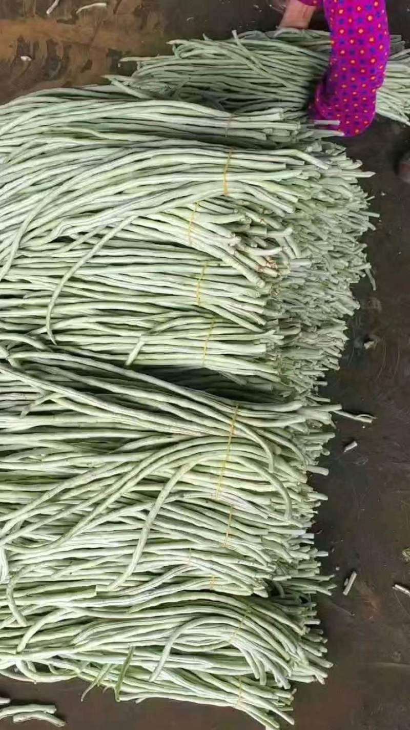 白豆角青豆角产地直发！