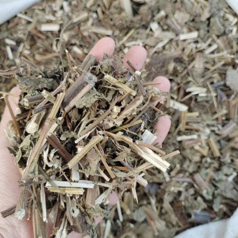 批发溪黄草