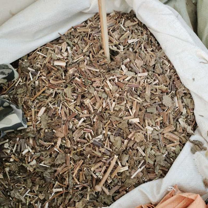 批发溪黄草