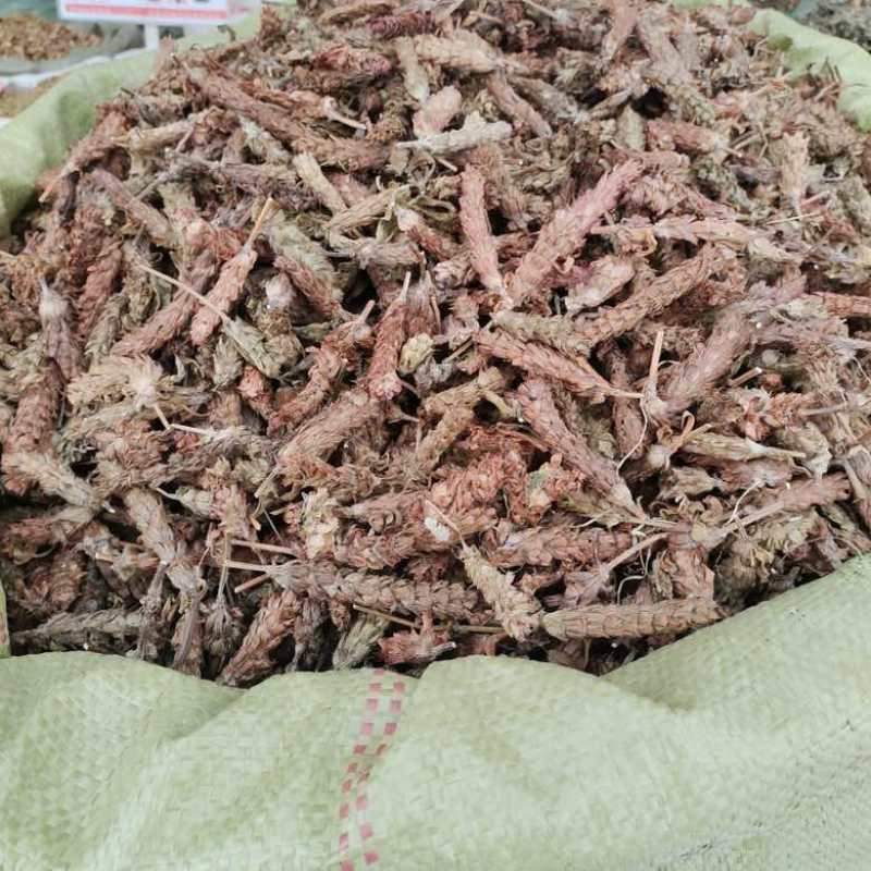 批发夏枯球