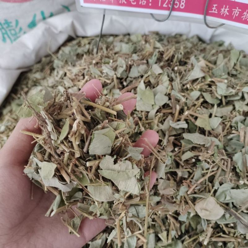 批发新鲜切段金钱草。和扎把金钱草，颜色青绿/大量起批