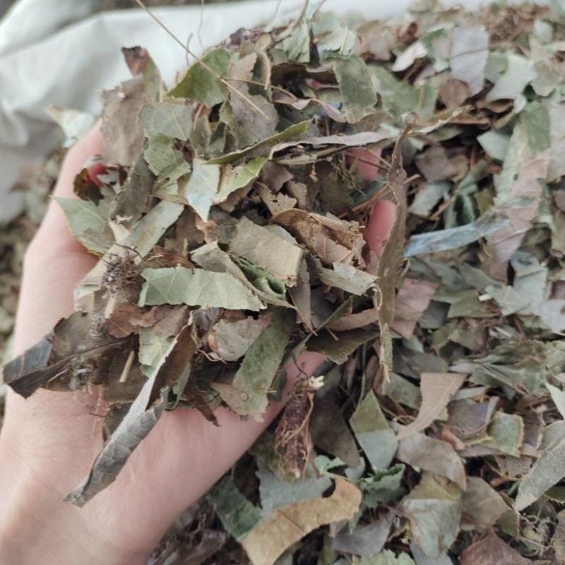 批货淫羊霍