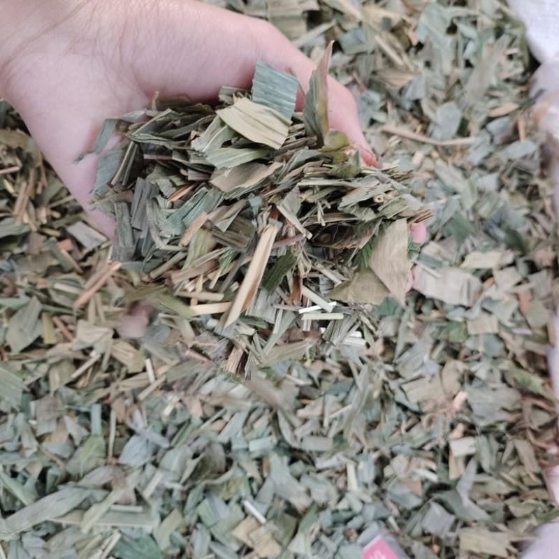 批发淡竹叶