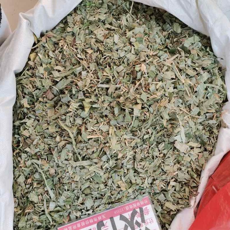 批发淡竹叶