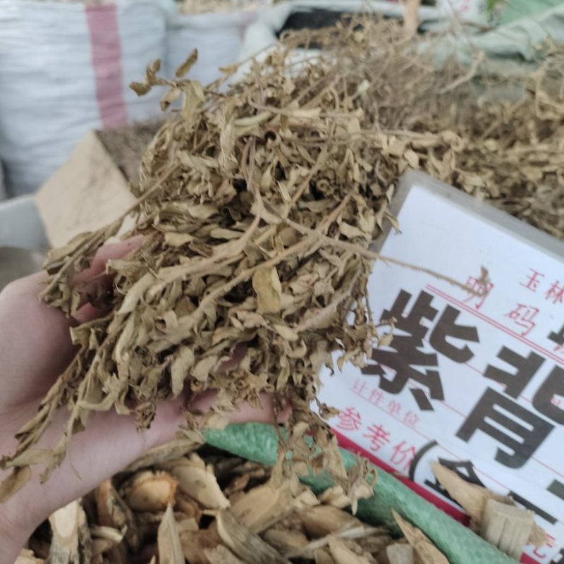 批发紫背金牛。金不换
