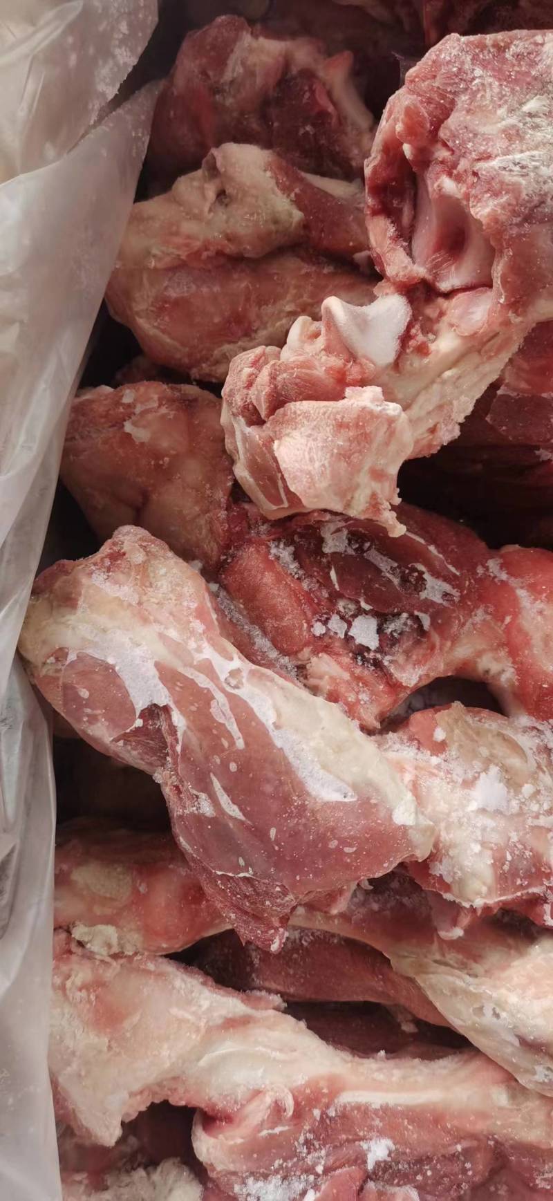 带肉30的前腿骨