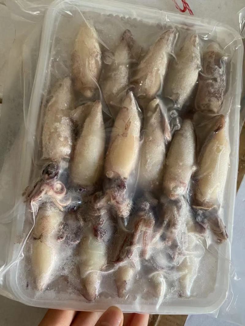 小籽乌独立包装货源充足价格平稳欢迎大家咨询江苏连云港发货
