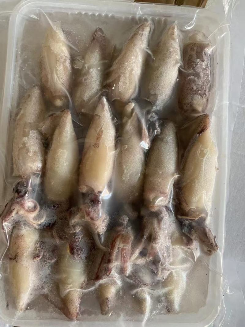 小籽乌独立包装货源充足价格平稳欢迎大家咨询江苏连云港发货