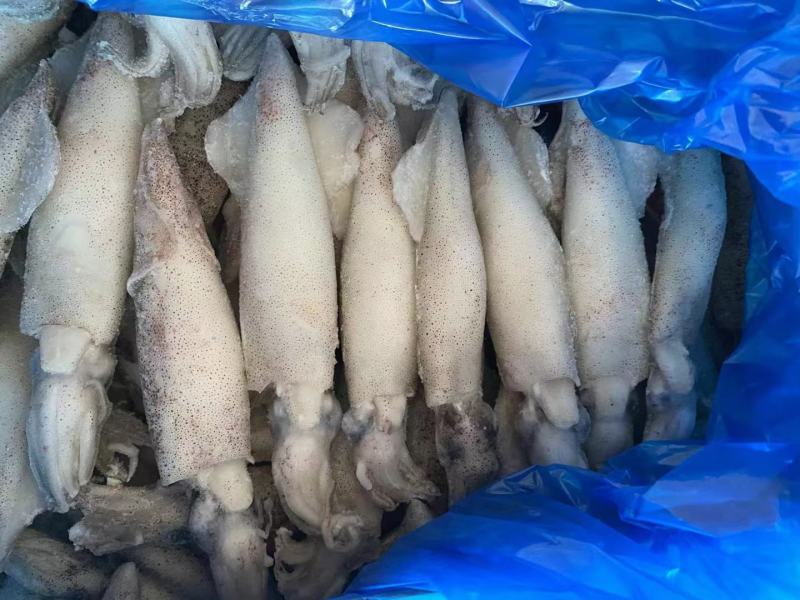 小籽乌独立包装货源充足价格平稳欢迎大家咨询江苏连云港发货