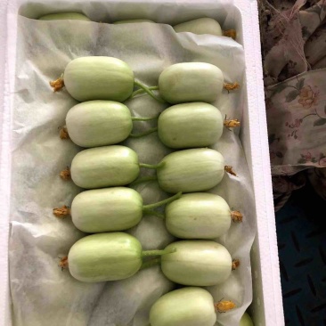 玉女黄瓜，拇指小黄瓜，寿光原产地，量大质优价美。