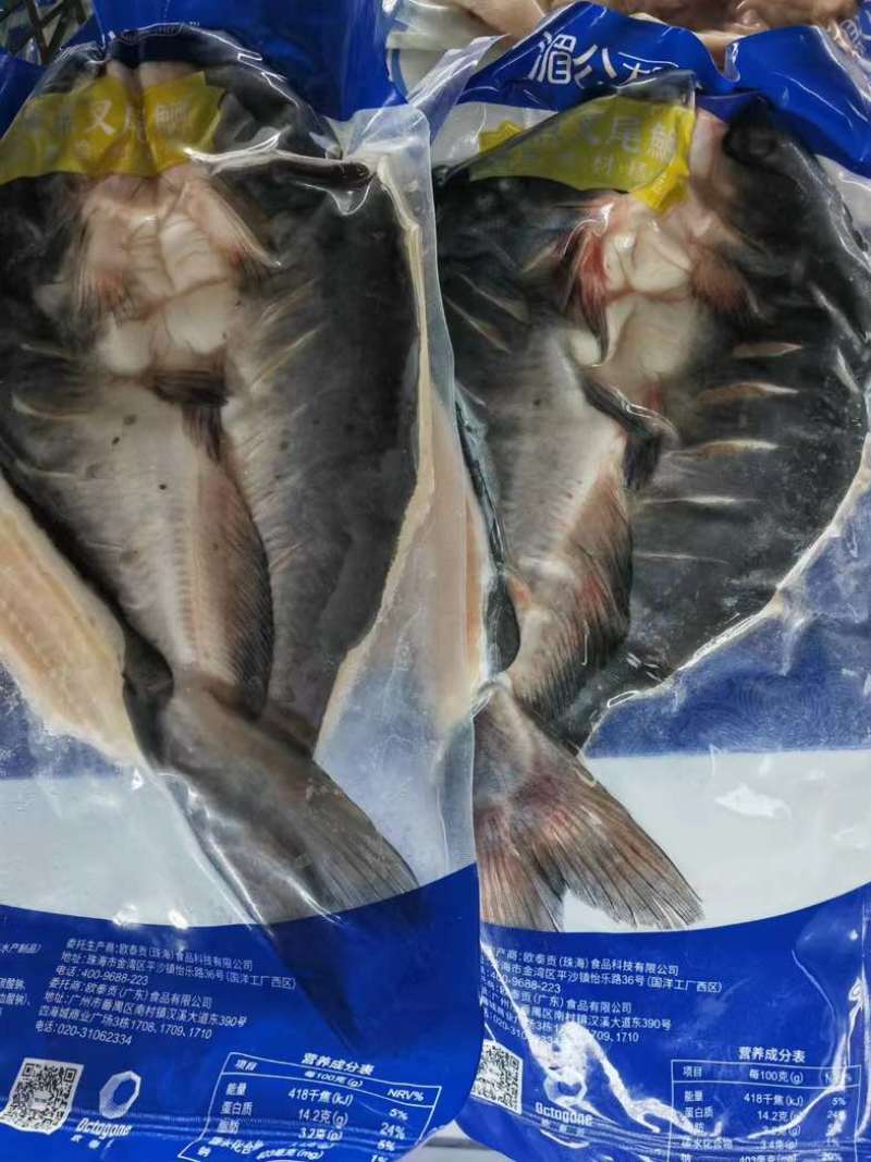 开背清江鱼