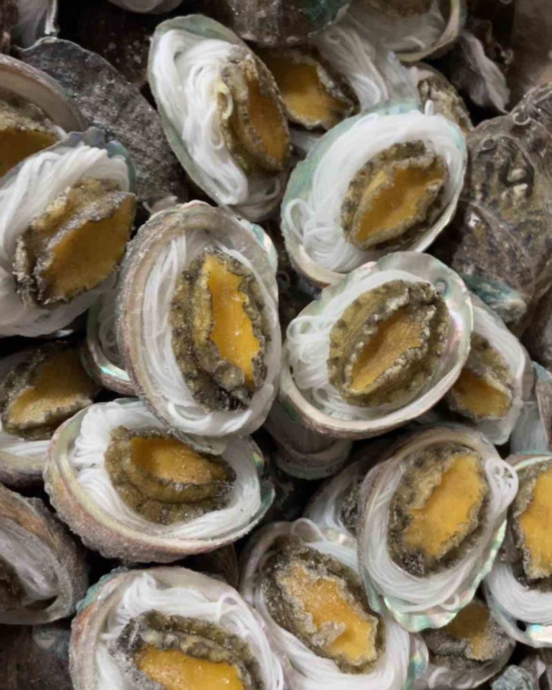 鲍鱼粉丝鲍鱼烧烤食材夜市专用粉丝鲍鱼