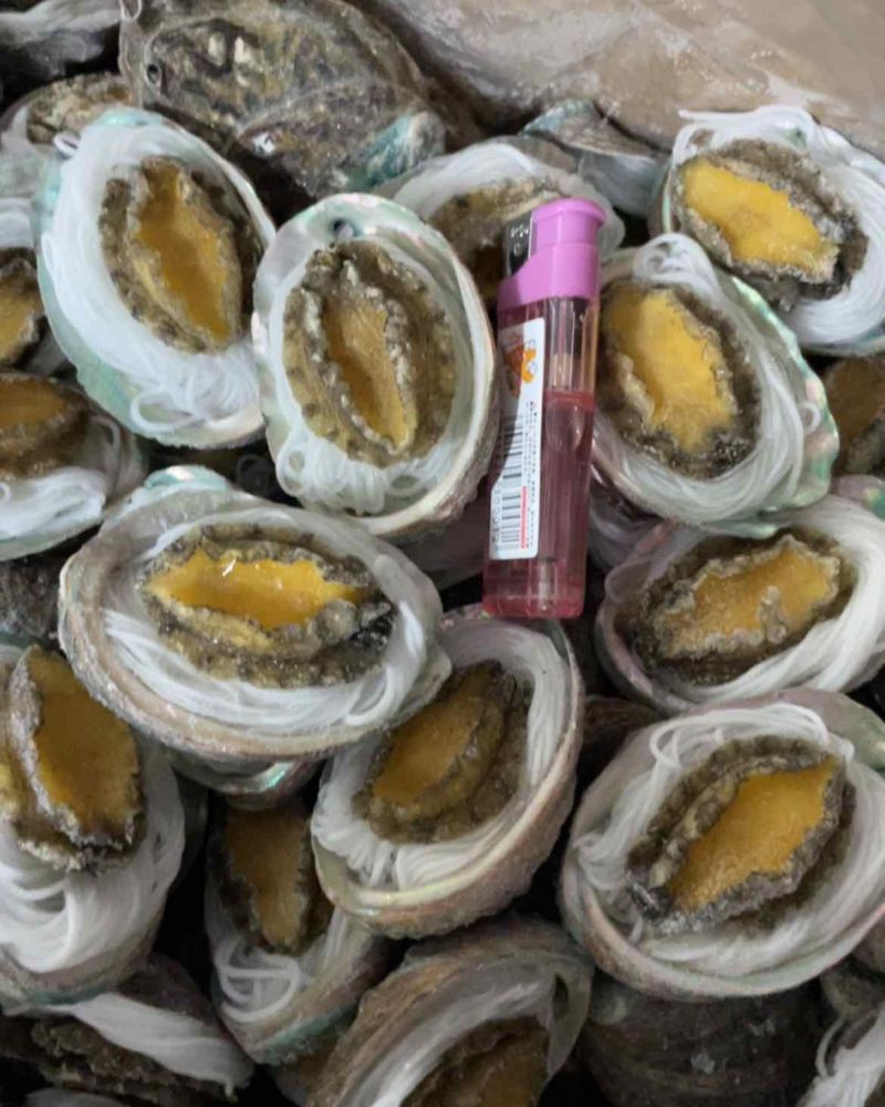 鲍鱼粉丝鲍鱼烧烤食材夜市专用粉丝鲍鱼