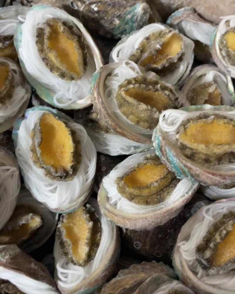 鲍鱼粉丝鲍鱼烧烤食材夜市专用粉丝鲍鱼