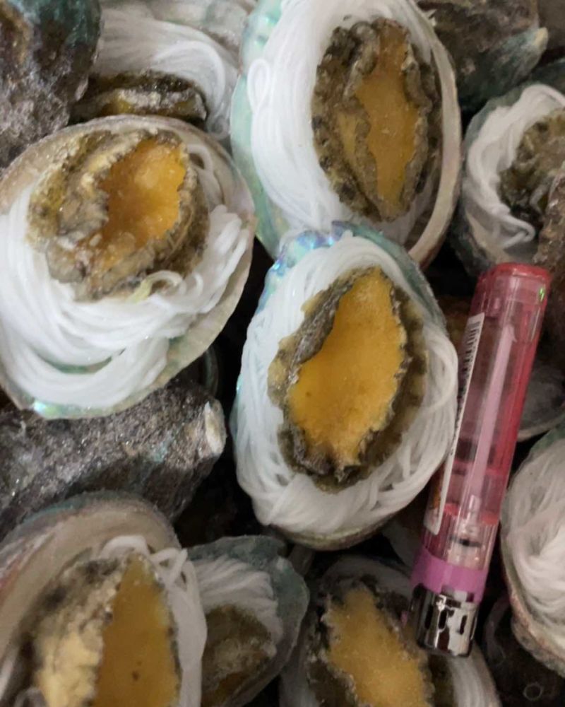 鲍鱼粉丝鲍鱼烧烤食材夜市专用粉丝鲍鱼