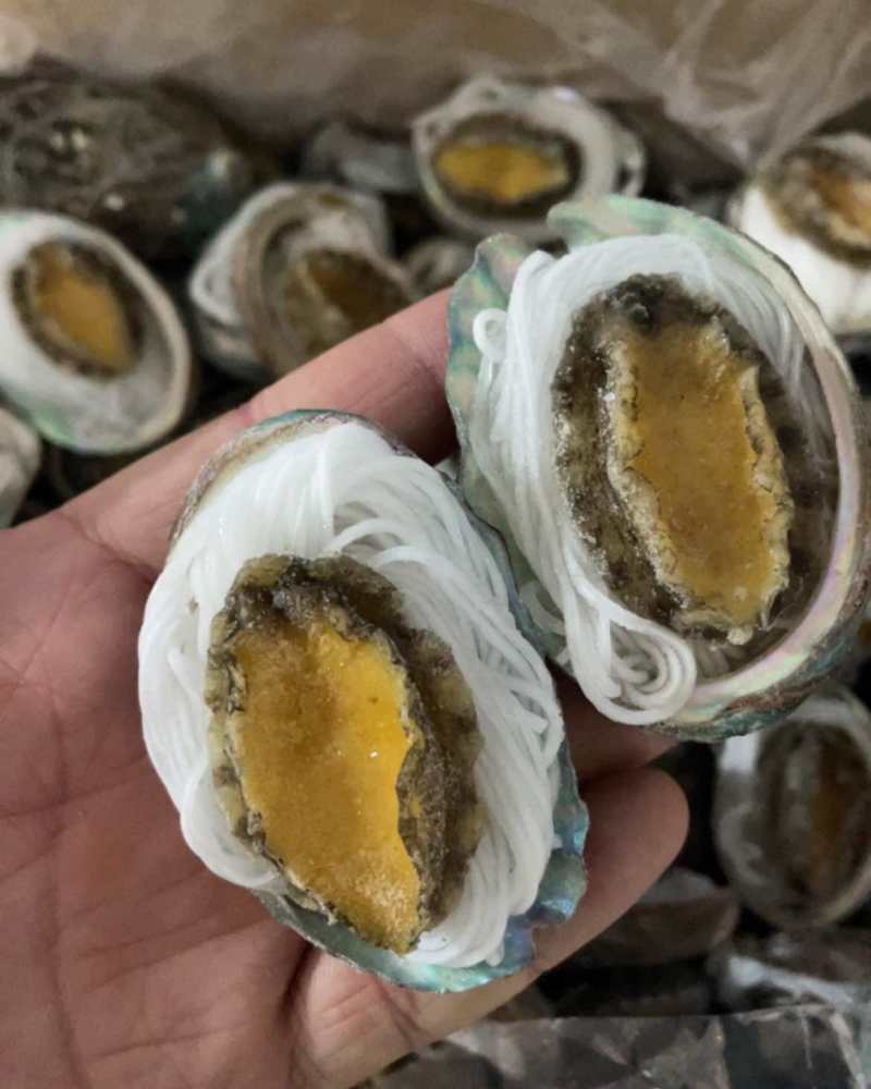 鲍鱼粉丝鲍鱼烧烤食材夜市专用粉丝鲍鱼