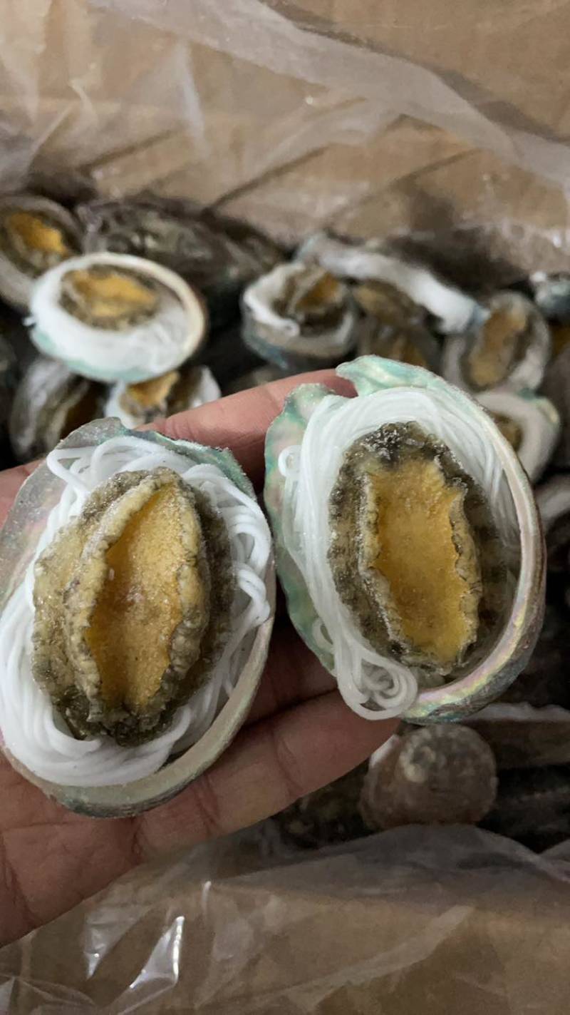 鲍鱼粉丝鲍鱼烧烤食材夜市专用粉丝鲍鱼
