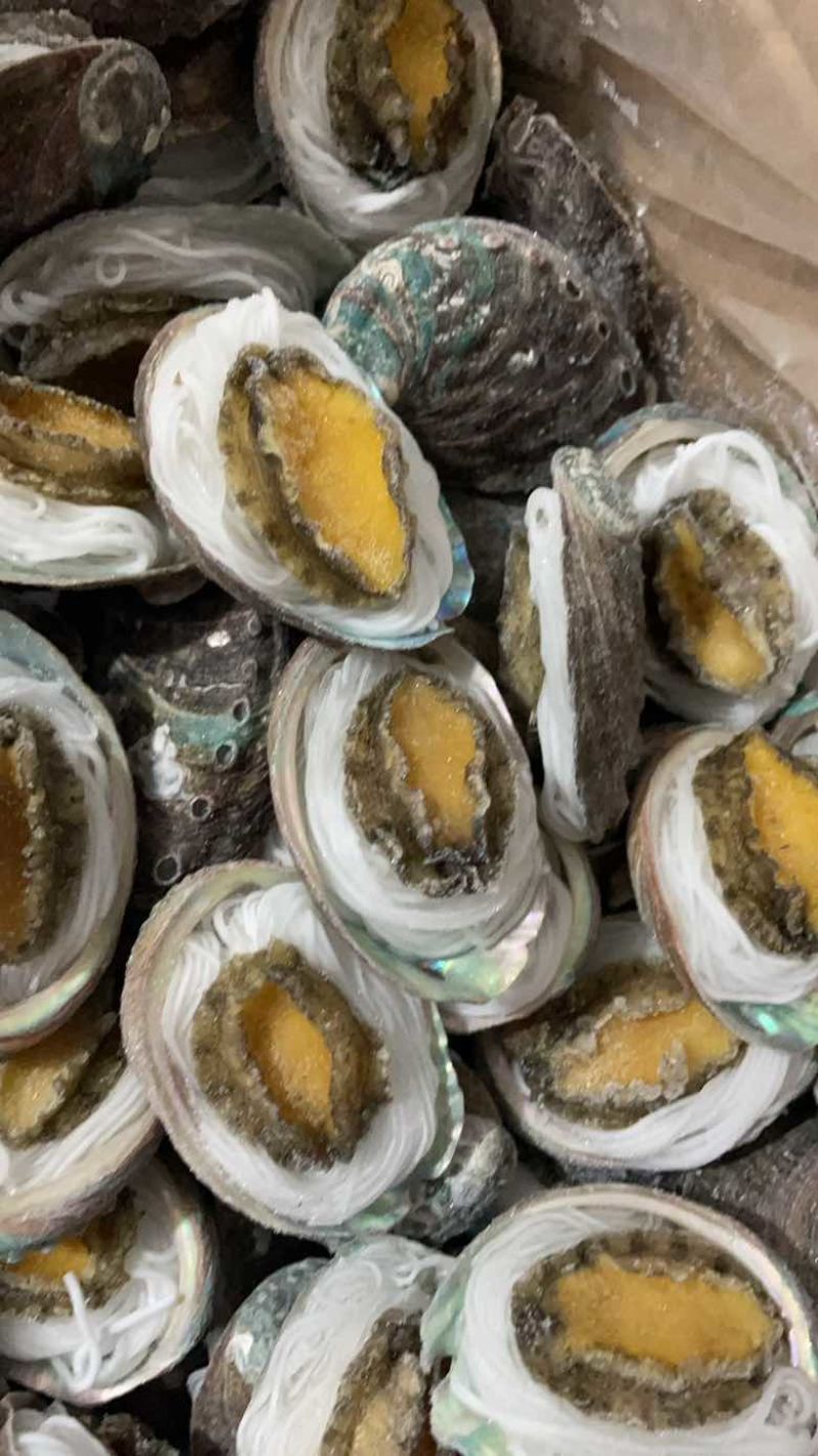 鲍鱼粉丝鲍鱼烧烤食材夜市专用粉丝鲍鱼