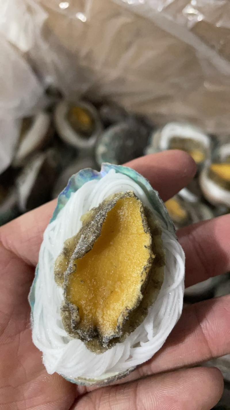 鲍鱼粉丝鲍鱼烧烤食材夜市专用粉丝鲍鱼