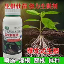 猛生根原液生根壮苗剂广谱型生根剂壮苗发根强力生根