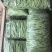豆王无丝豆架豆王芸豆