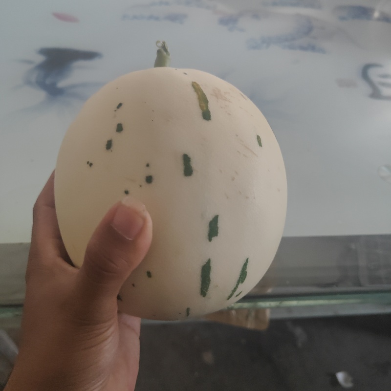 蜜露流星甜瓜