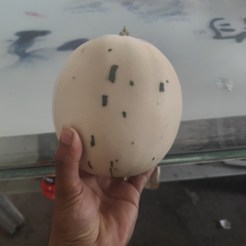 蜜露流星甜瓜