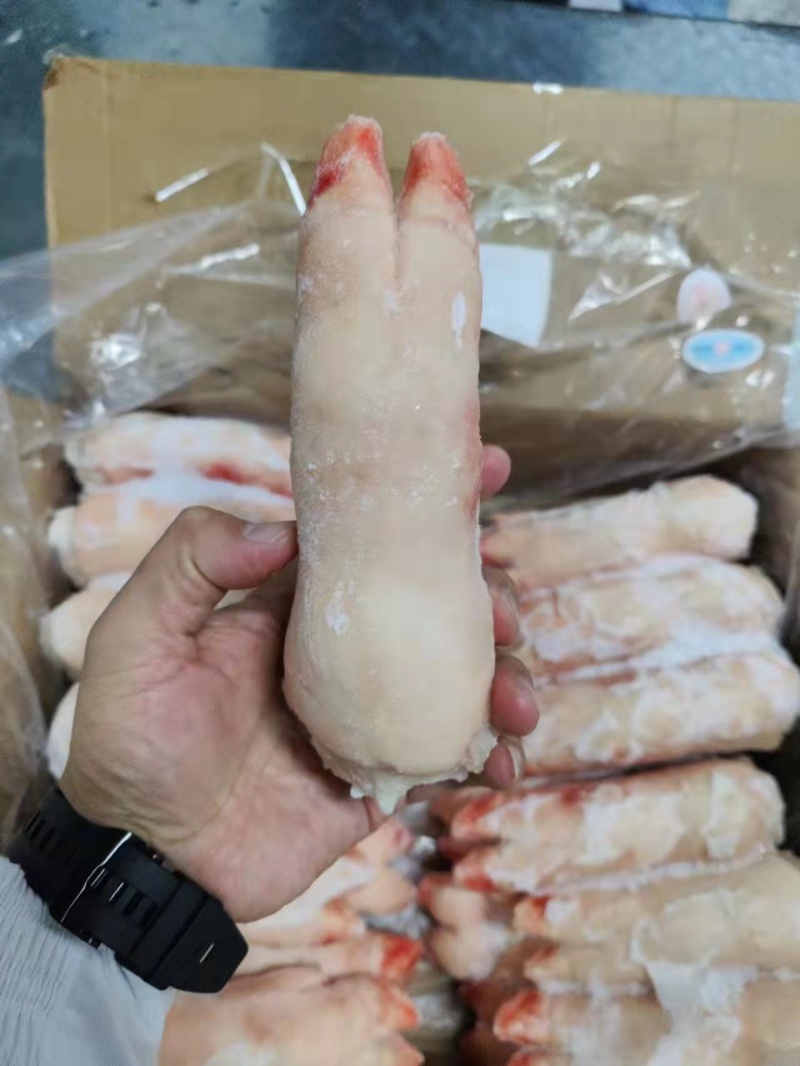 二级猪蹄