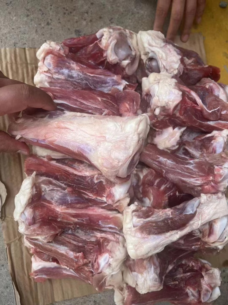 肥猪S骨