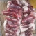 肥猪S骨