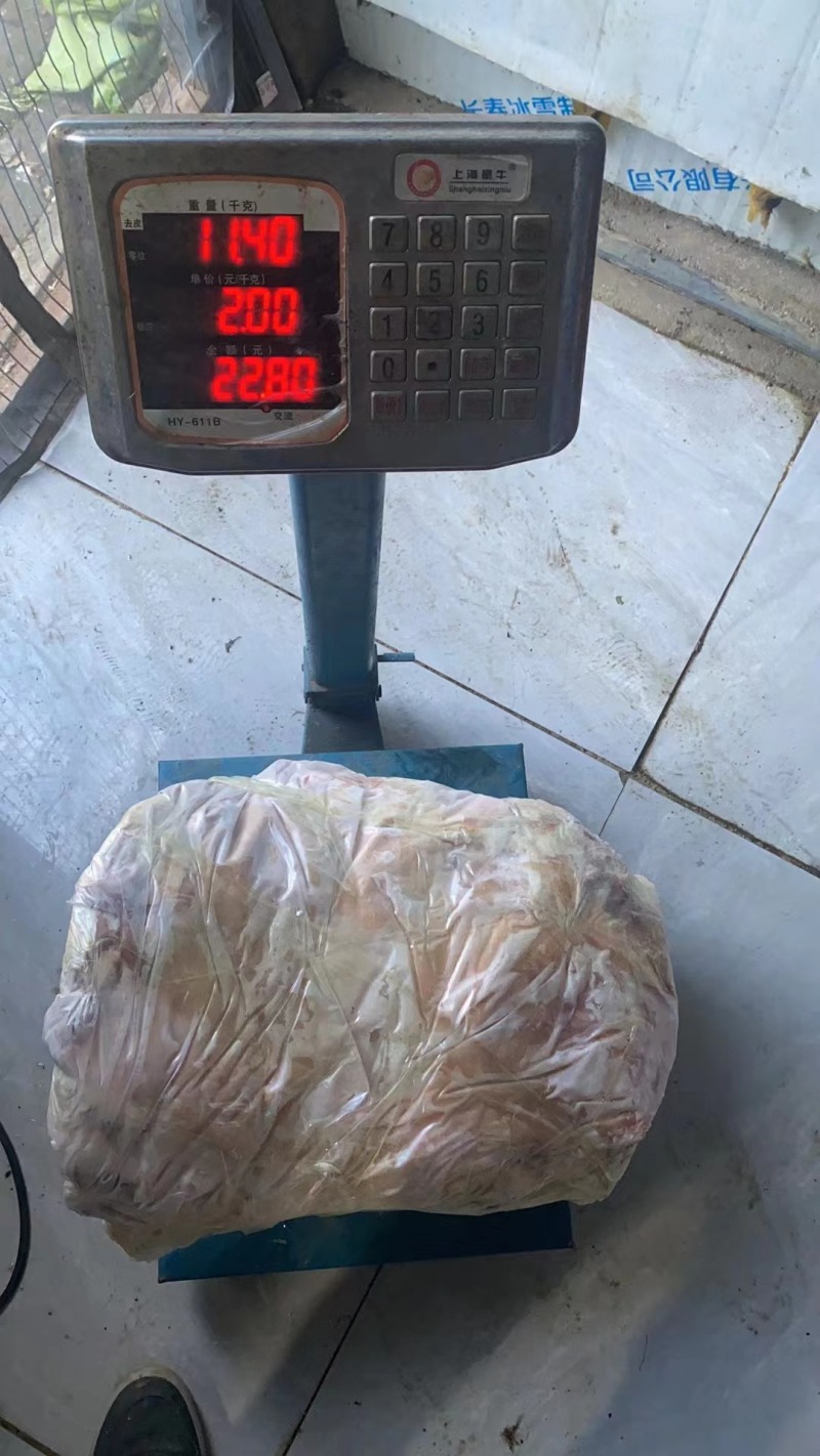精品鹿排骨货源充足量大从优质量保证欢迎咨询