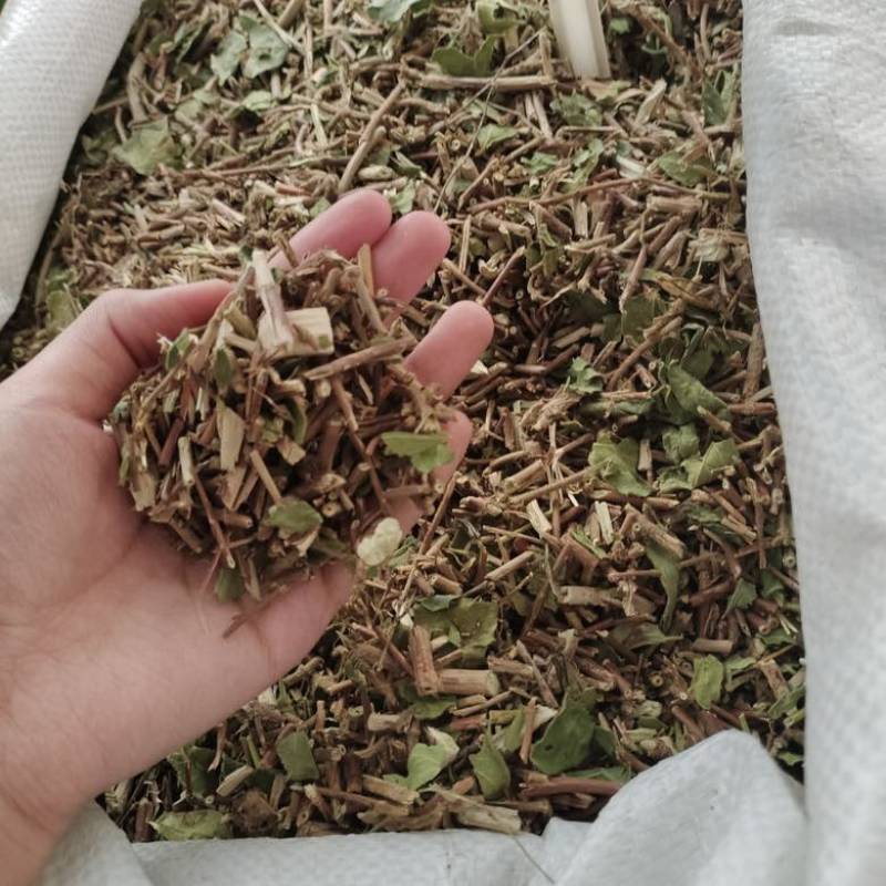 批发银花藤