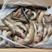 海鲶鱼，规格300-600，10吨，20斤一箱，