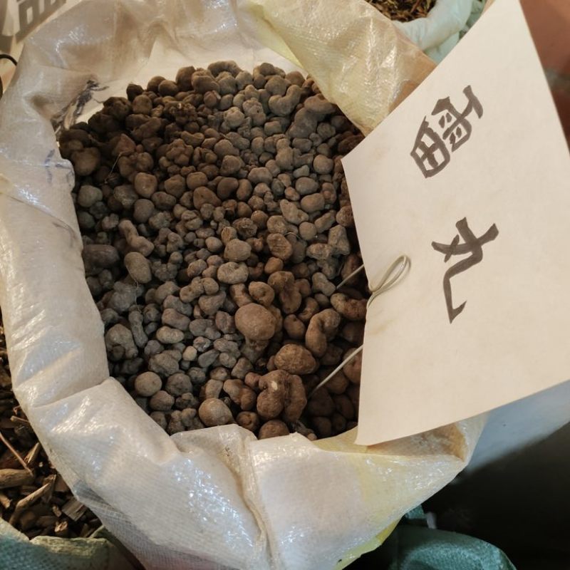 批发雷丸