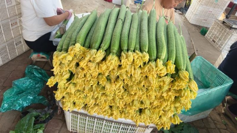 鲜花丝瓜