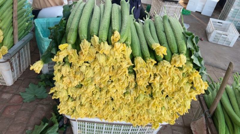 鲜花丝瓜