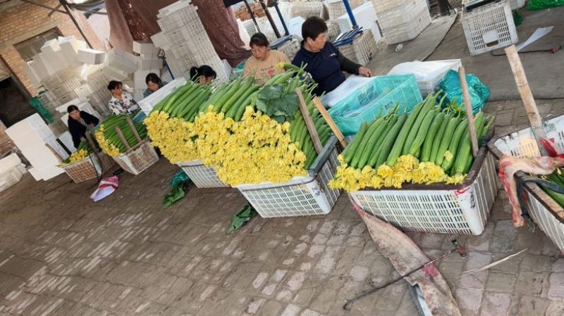 鲜花丝瓜