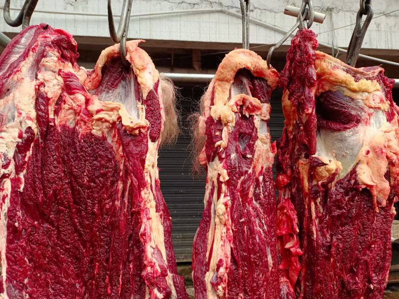 牛肉