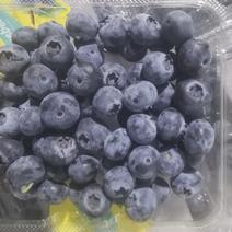 蓝莓125克