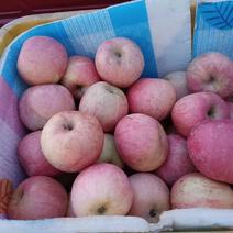 威海红富士苹果807075条纹苹果三级果