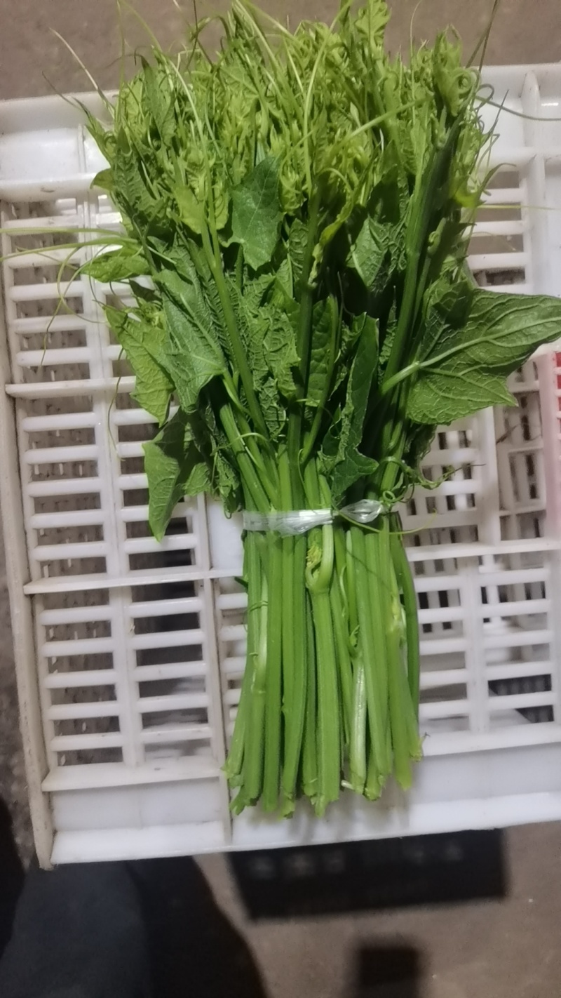 叶菜