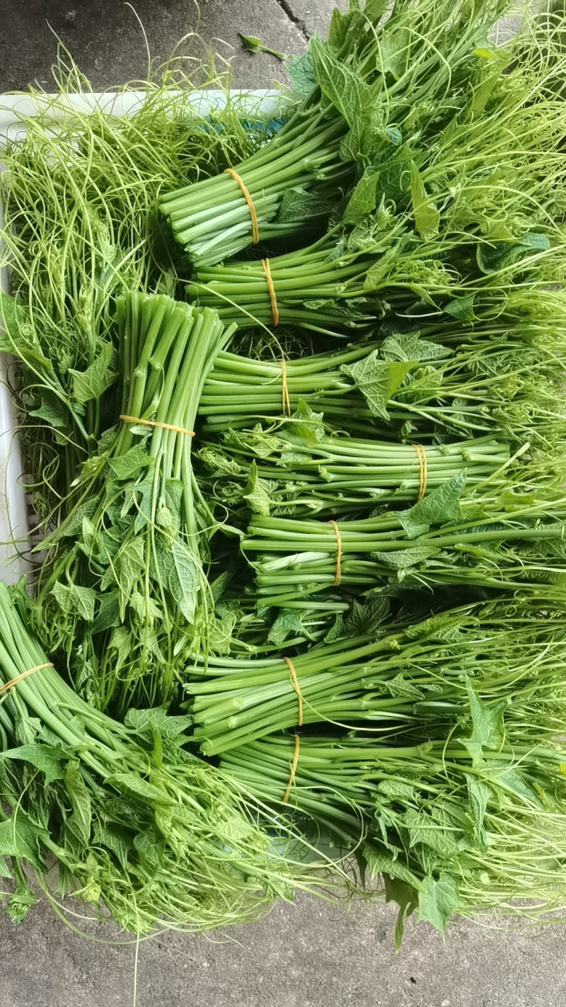 叶菜