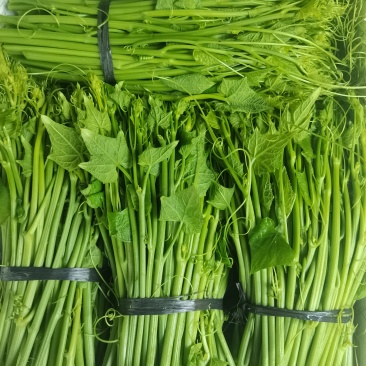 叶菜