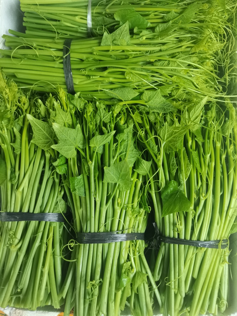 叶菜