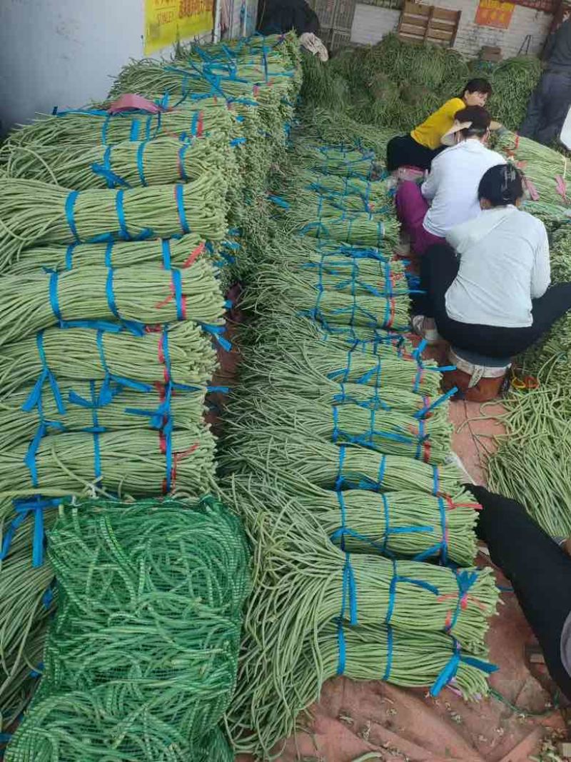豆角大量上市