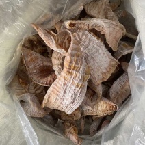 正宗原生态楠竹笋干，老挝笋干！