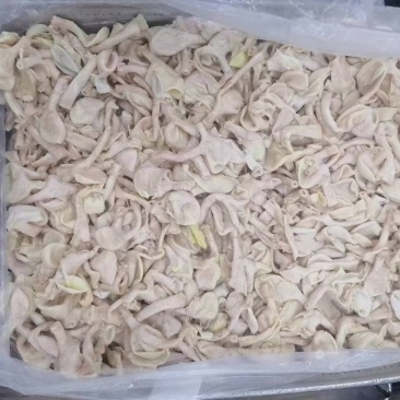 鸡嗉子