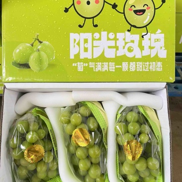 阳光玫瑰