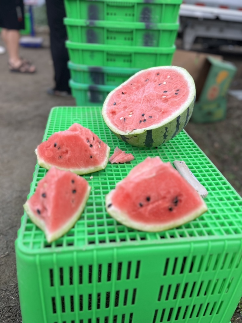西瓜正宗长期供应