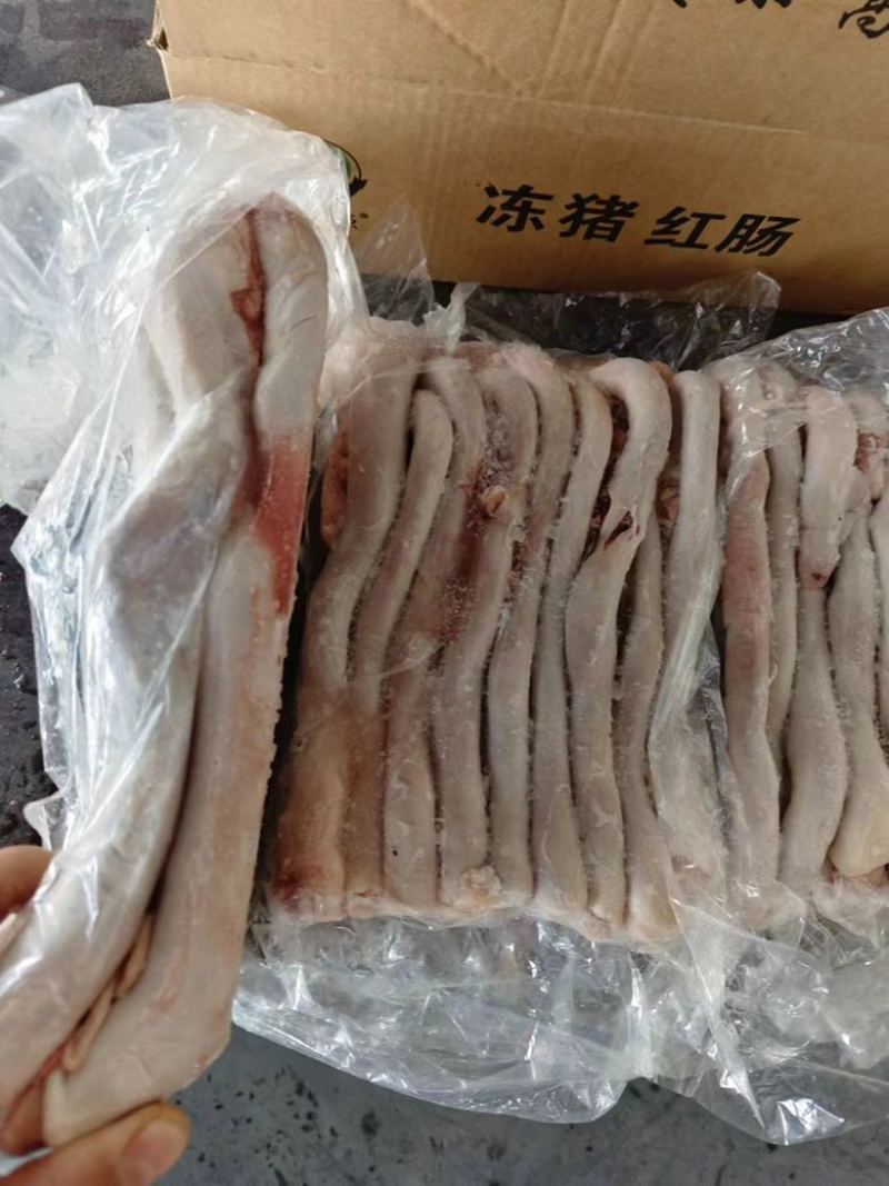 猪食管猪肚头白食管猪红肠猪肚芯欢迎电话联系